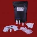 Test rapid Antigen 2019-nCoV
