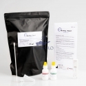 Test rapid Strep A - flux lateral
