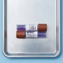 Indicator biologic sterilizare abur (autoclav) - GEOBACILLUS STEAROTHERMOPHILUS ATCC 7953