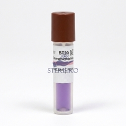 Indicator biologic sterilizare abur (autoclav) - GEOBACILLUS STEAROTHERMOPHILUS ATCC 7953