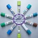 Indicator biologic sterilizare pentru procesele de sterilizare cu plasma sau vapori de peroxid de hidrogen (VH2O2 sau H2O2)