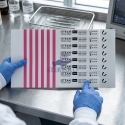 Test Helix PCD C-1032, 6 indicatori, pachet 250 stripuri