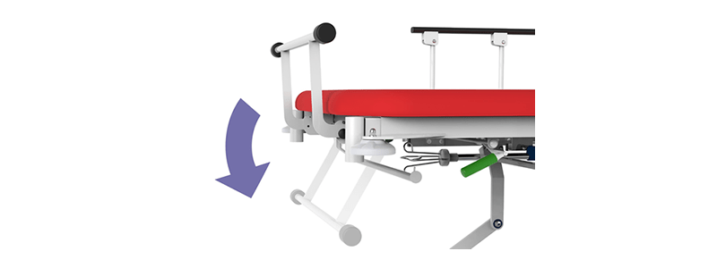 TARGA DE TRANSPORT PACIENTI TAURUS